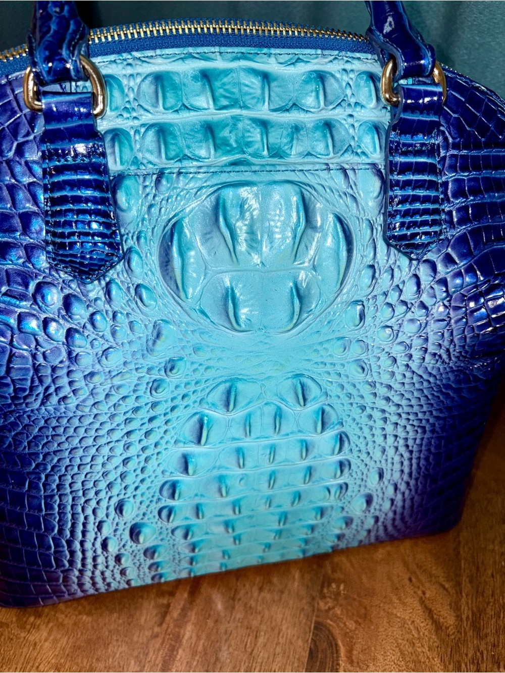 Brahmin EUC Lrg Duxbury - Affinity Ombré - Glitz/Metallic Accents - Like New - Picture 12 of 16